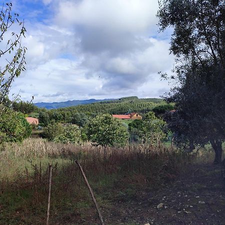 Macinhata do Vouga Alojamento Casa Do Cabeco Alombada מראה חיצוני תמונה