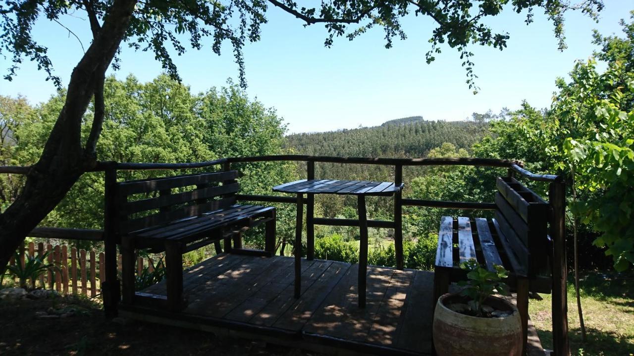 Macinhata do Vouga Alojamento Casa Do Cabeco Alombada מראה חיצוני תמונה
