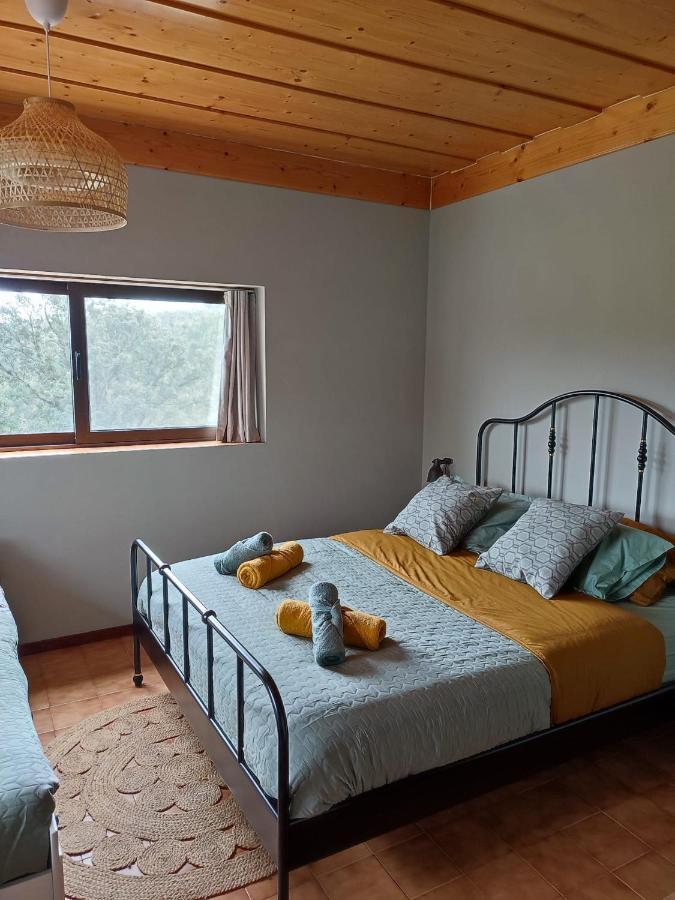 Macinhata do Vouga Alojamento Casa Do Cabeco Alombada מראה חיצוני תמונה