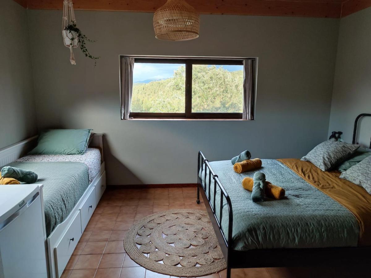 Macinhata do Vouga Alojamento Casa Do Cabeco Alombada מראה חיצוני תמונה