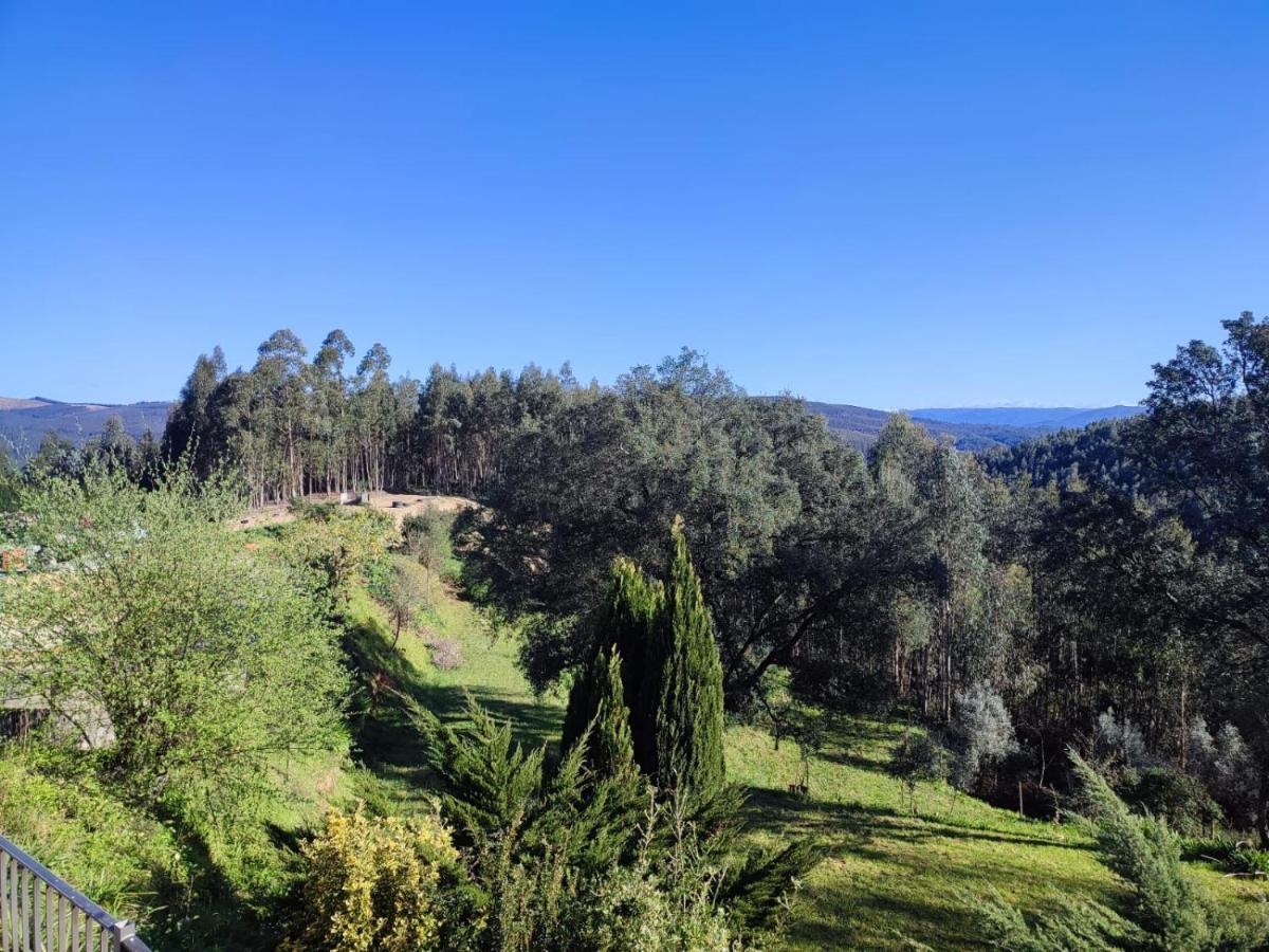 Macinhata do Vouga Alojamento Casa Do Cabeco Alombada מראה חיצוני תמונה