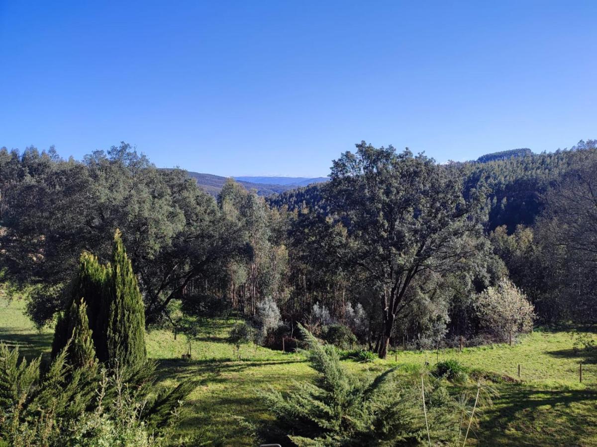 Macinhata do Vouga Alojamento Casa Do Cabeco Alombada מראה חיצוני תמונה