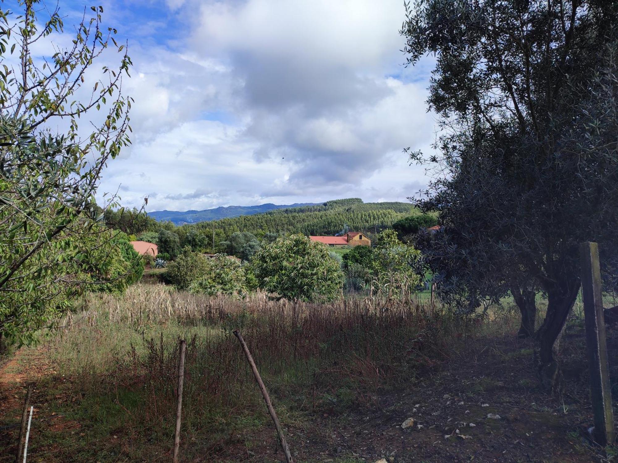 Macinhata do Vouga Alojamento Casa Do Cabeco Alombada מראה חיצוני תמונה